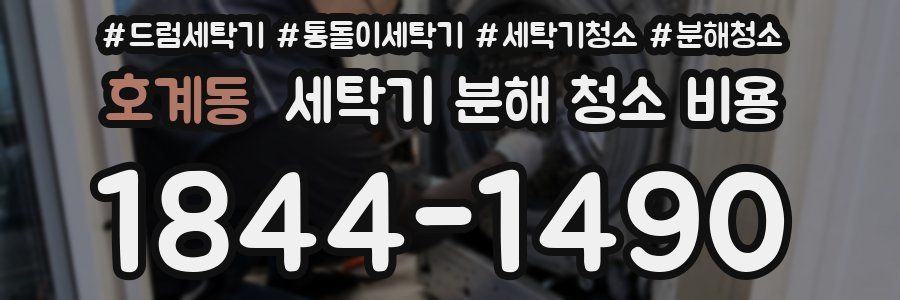 호계동 세탁기 분해 청소 비용