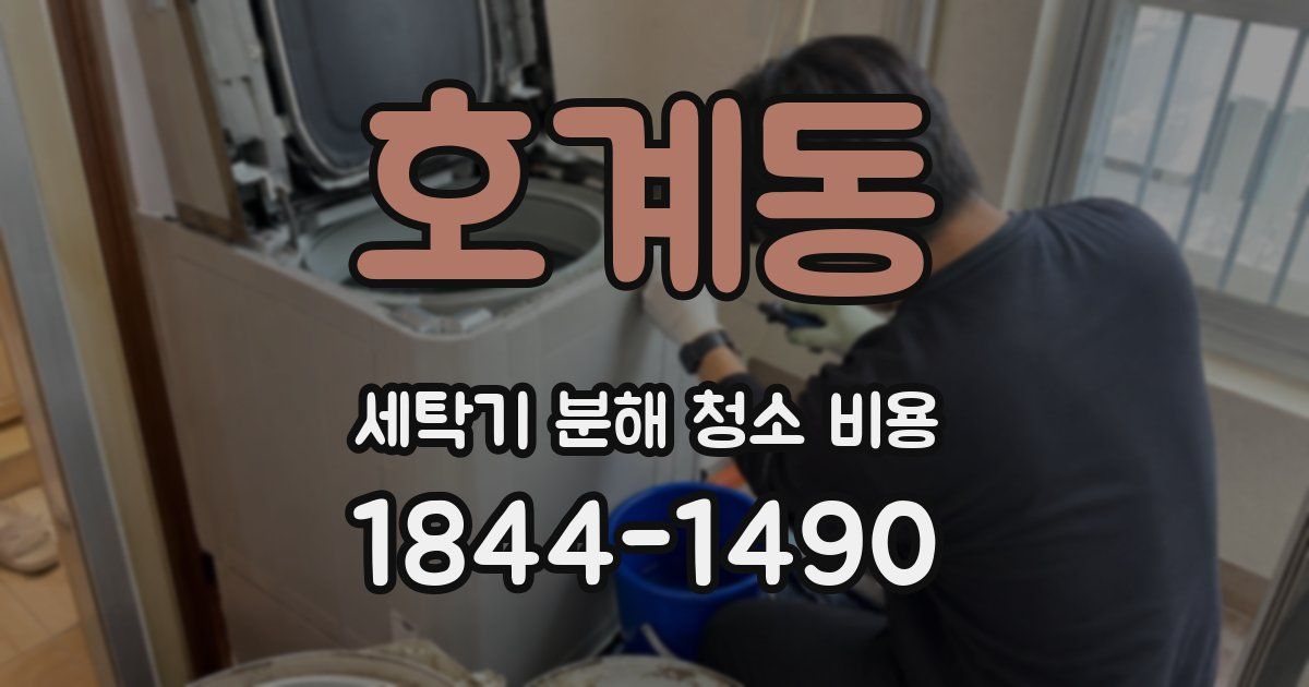 호계동 세탁기 분해 청소 비용