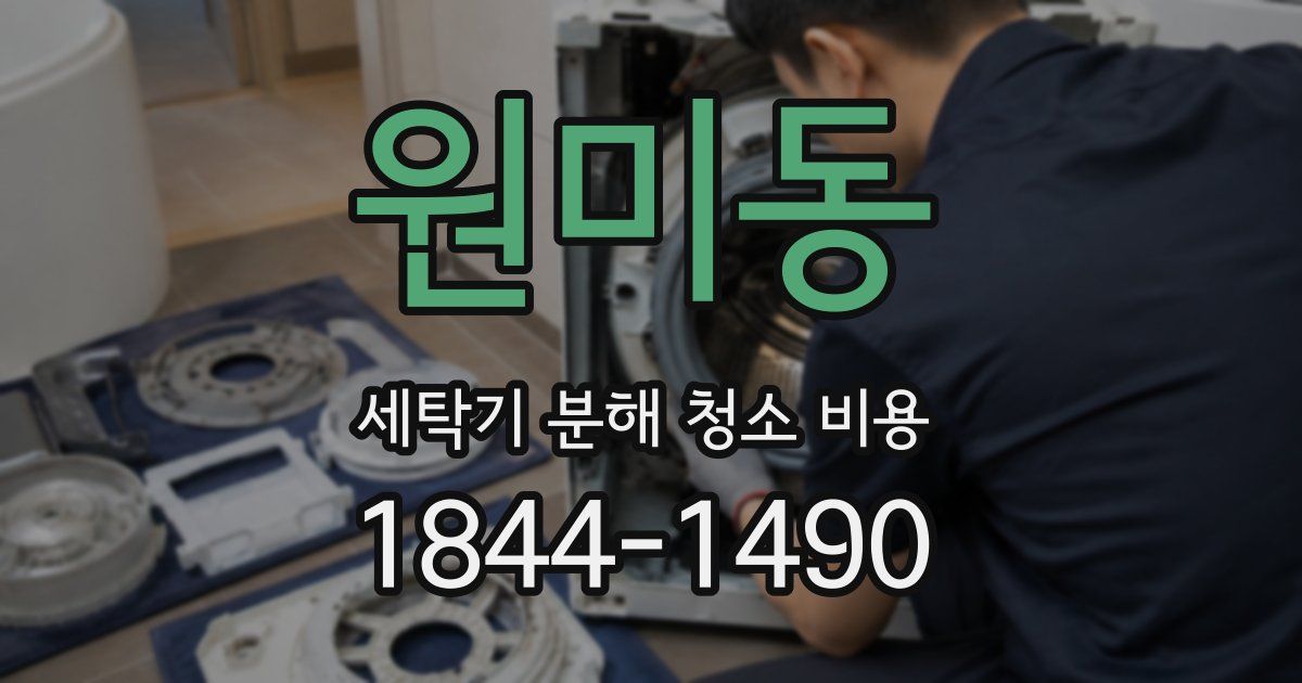 원미동 세탁기 분해 청소 비용