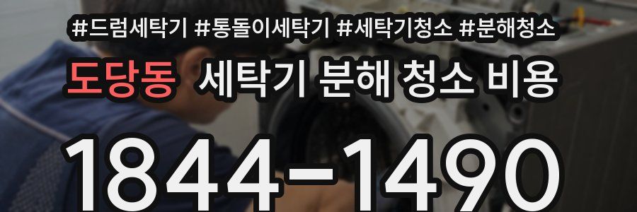 도당동 세탁기 분해 청소 비용