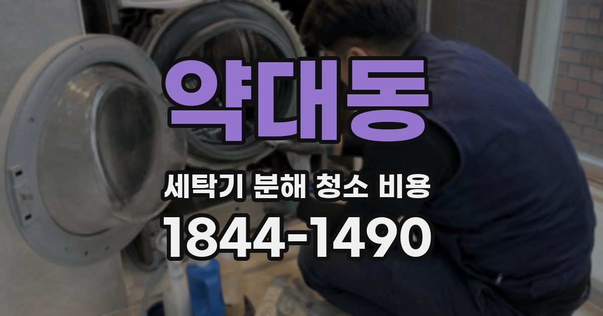 약대동 세탁기 분해 청소 비용