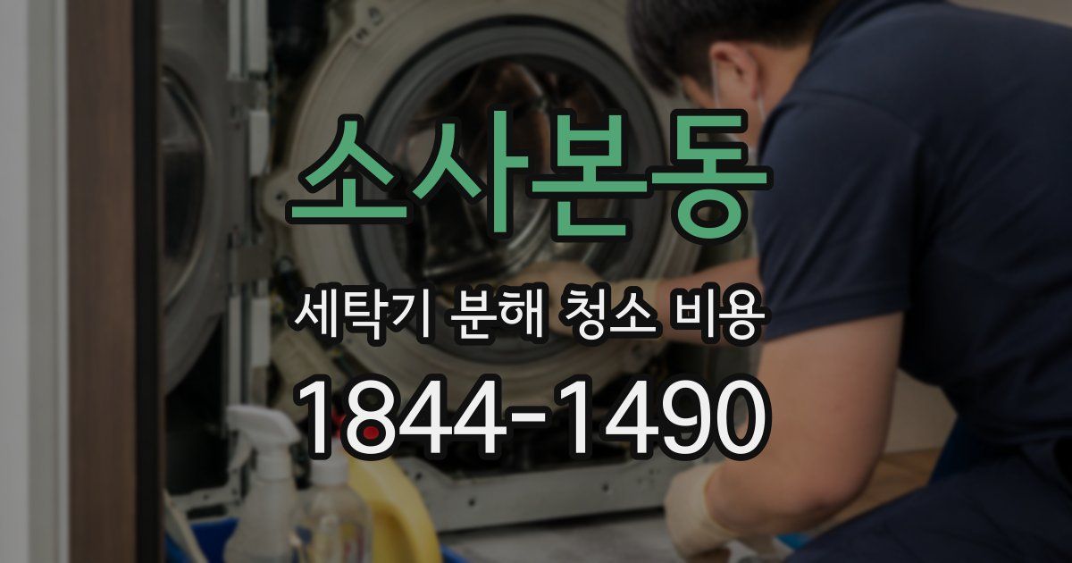 소사본동 세탁기 분해 청소 비용