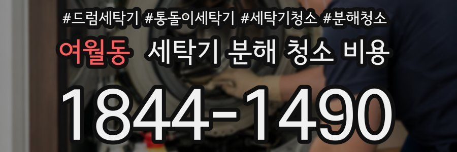 여월동 세탁기 분해 청소 비용