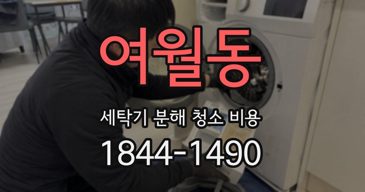 여월동 세탁기 분해 청소 비용