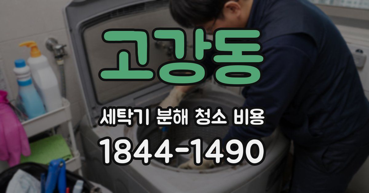 고강동 세탁기 분해 청소 비용