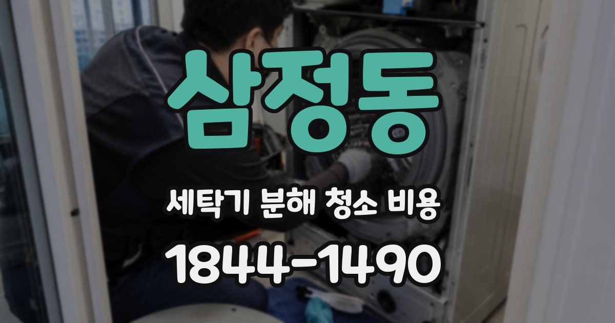 삼정동 세탁기 분해 청소 비용