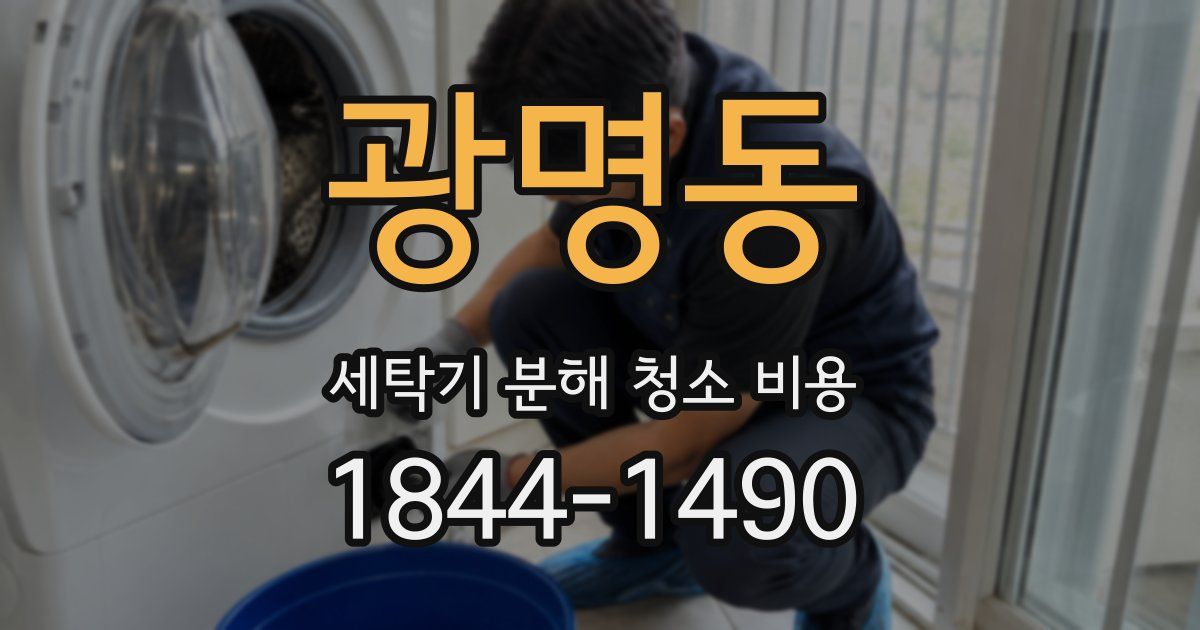 광명동 세탁기 분해 청소 비용