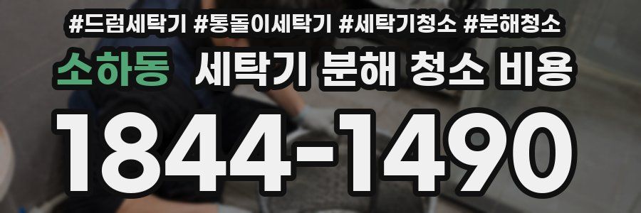 소하동 세탁기 분해 청소 비용