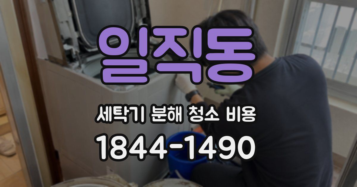 일직동 세탁기 분해 청소 비용