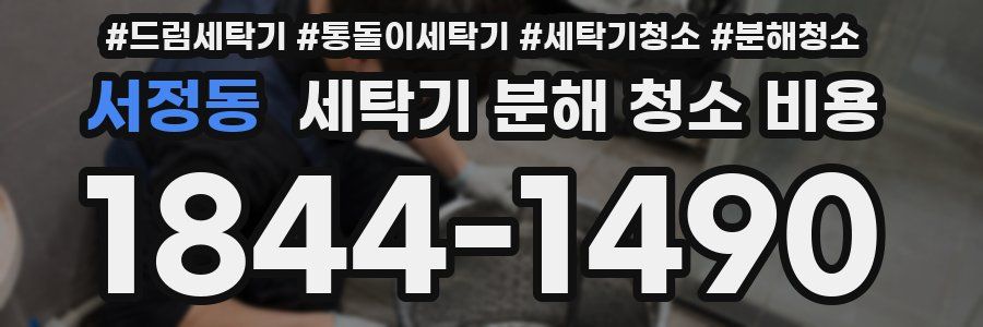 서정동 세탁기 분해 청소 비용