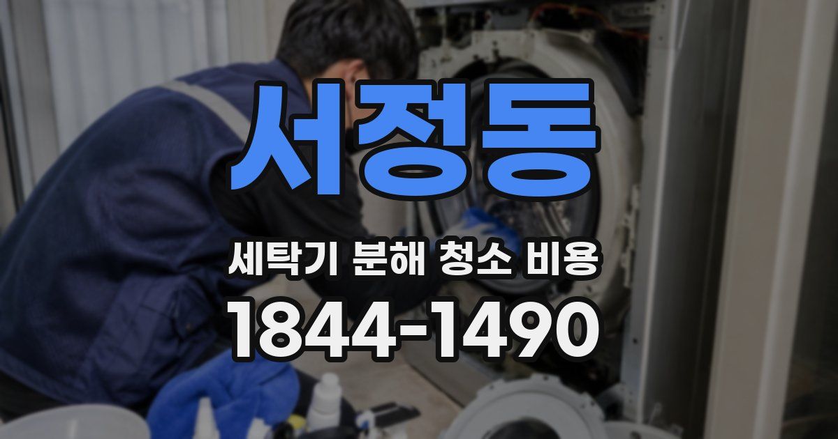 서정동 세탁기 분해 청소 비용