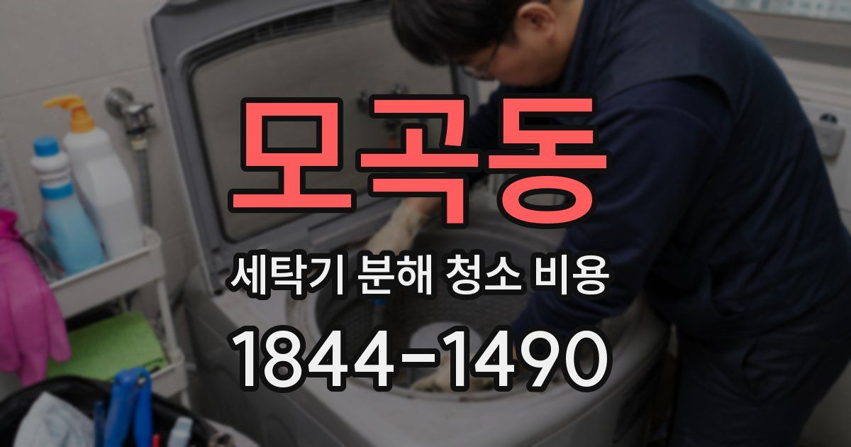 모곡동 세탁기 분해 청소 비용