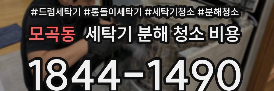 모곡동 세탁기 분해 청소 비용