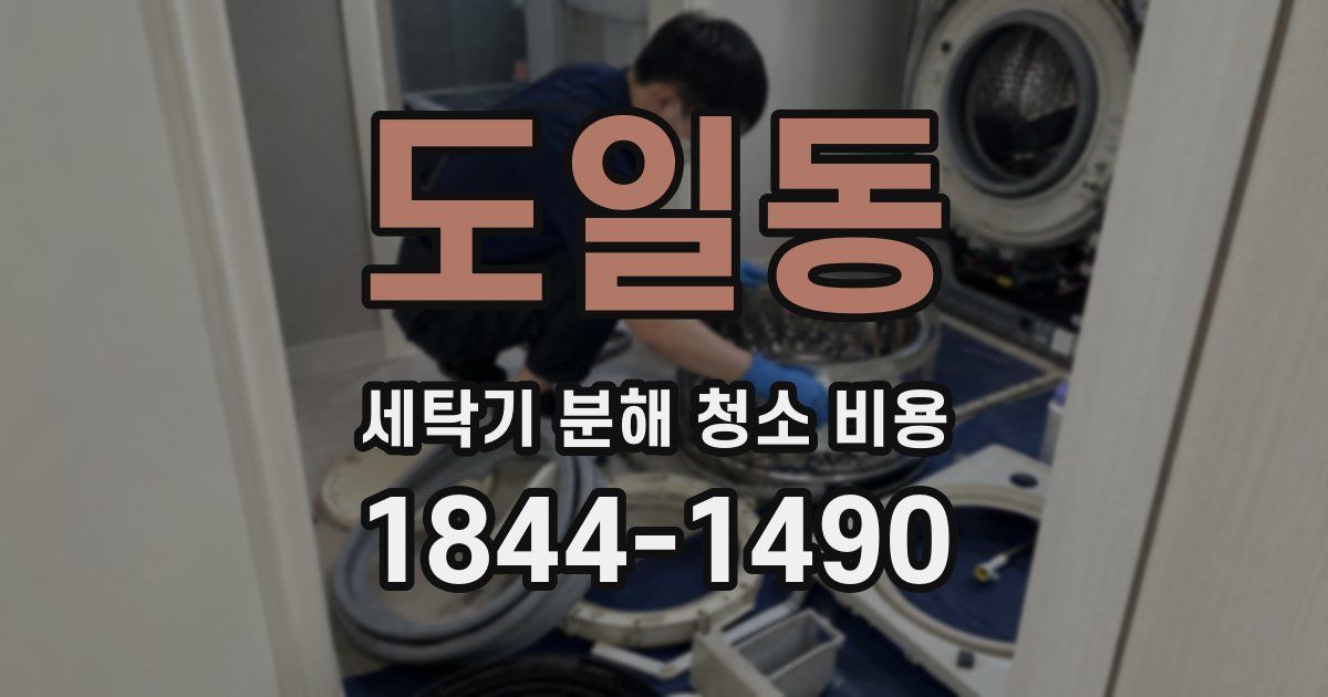도일동 세탁기 분해 청소 비용