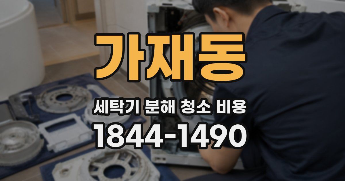 가재동 세탁기 분해 청소 비용