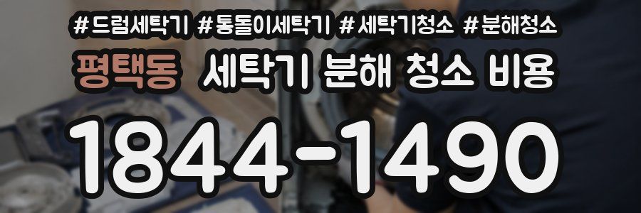 평택동 세탁기 분해 청소 비용