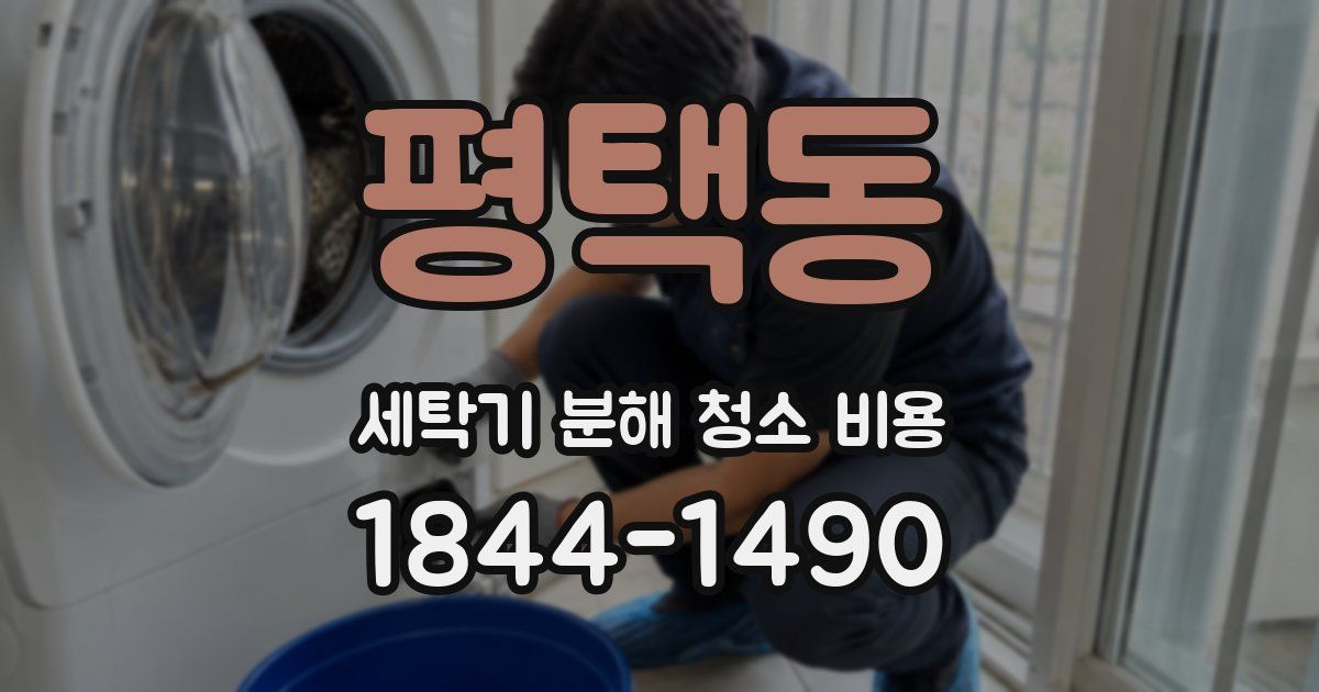평택동 세탁기 분해 청소 비용
