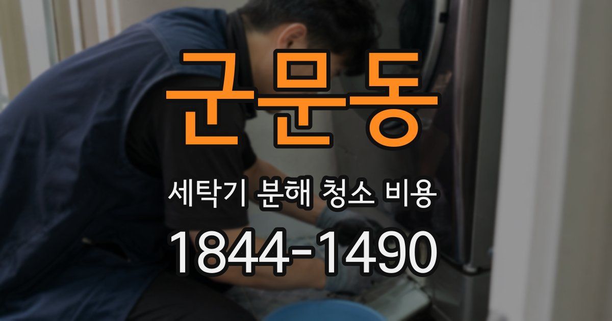 군문동 세탁기 분해 청소 비용