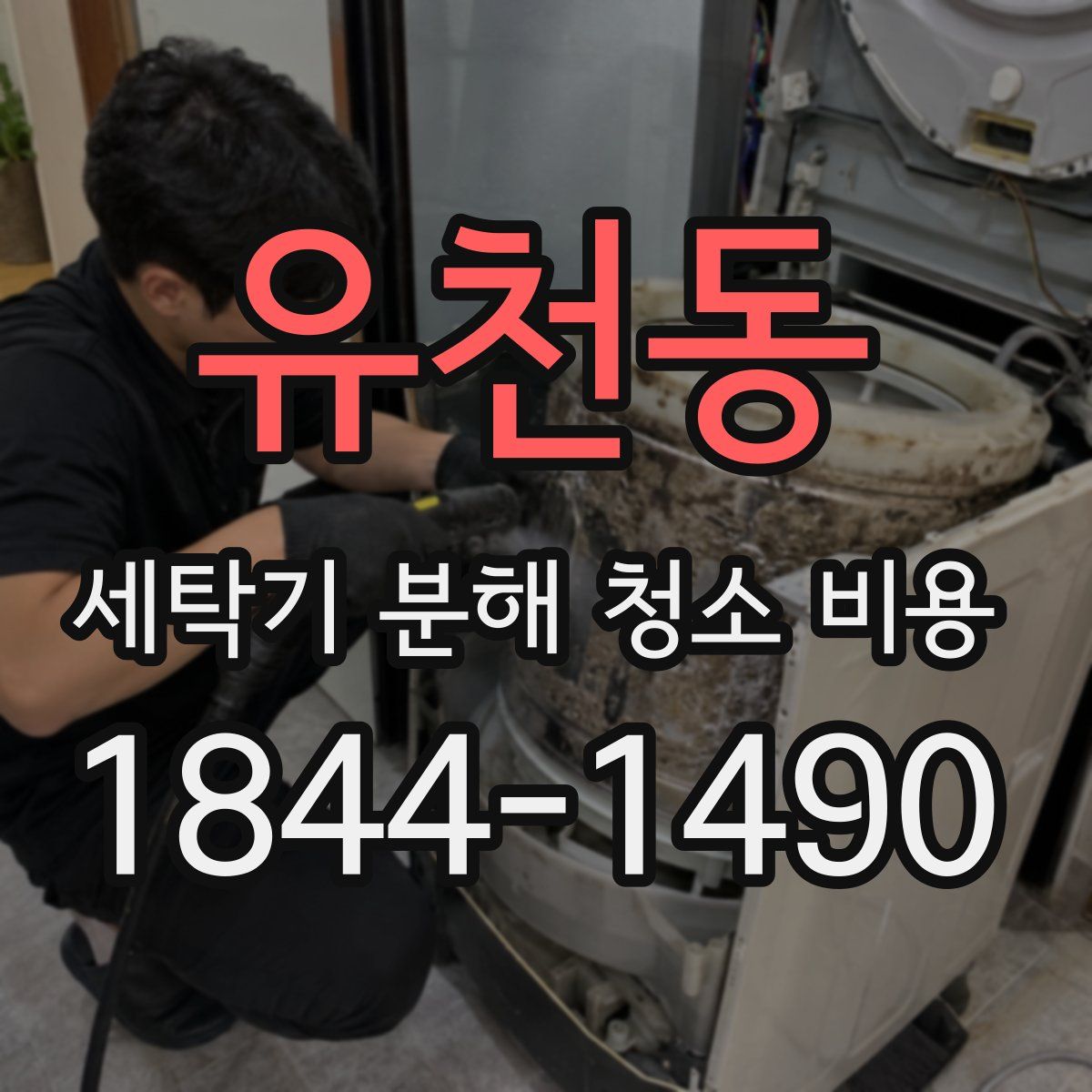 유천동 세탁기 분해 청소 비용