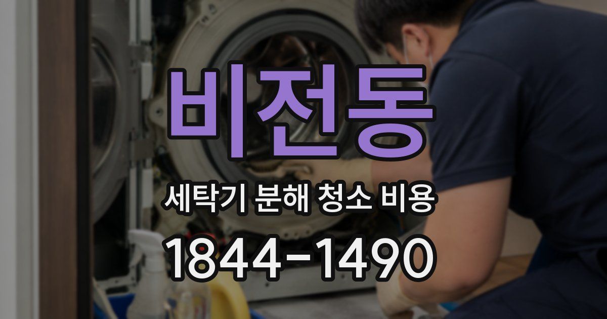 비전동 세탁기 분해 청소 비용