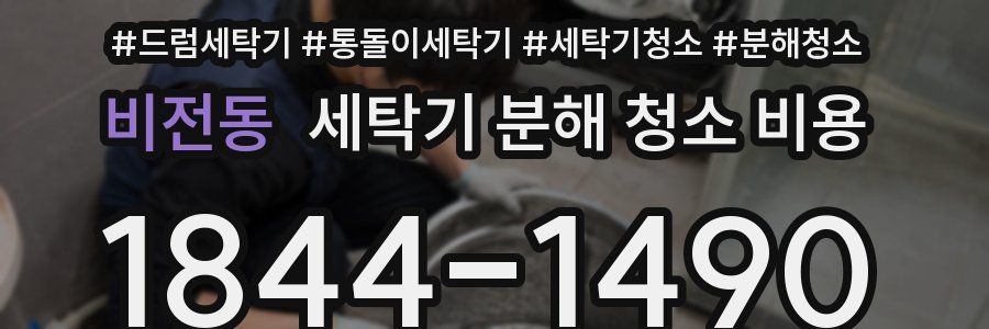 비전동 세탁기 분해 청소 비용