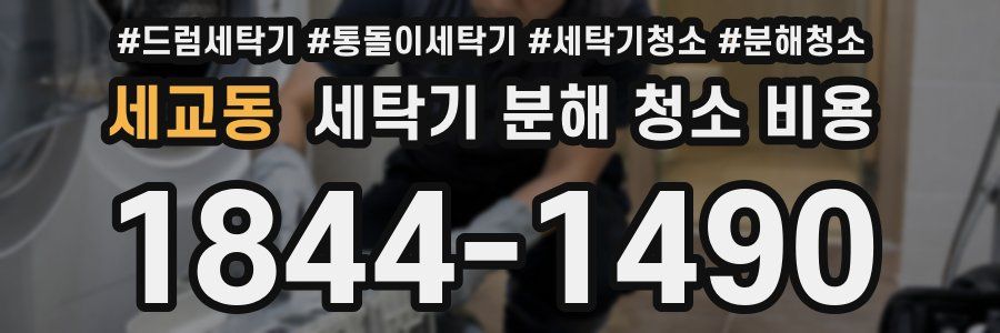 세교동 세탁기 분해 청소 비용