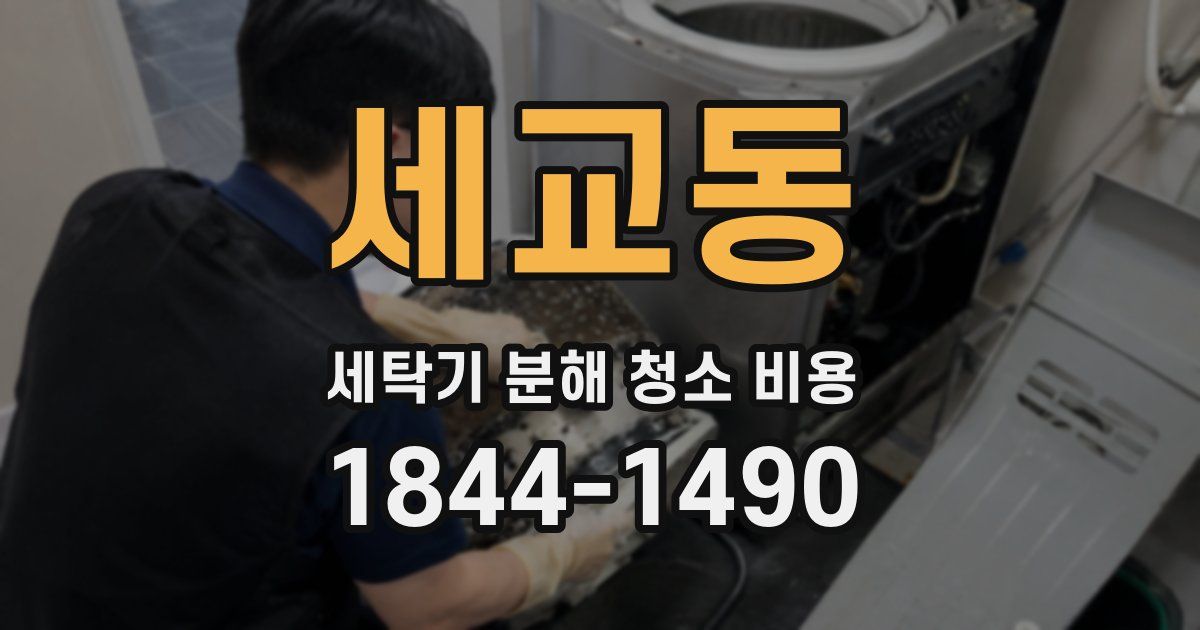 세교동 세탁기 분해 청소 비용