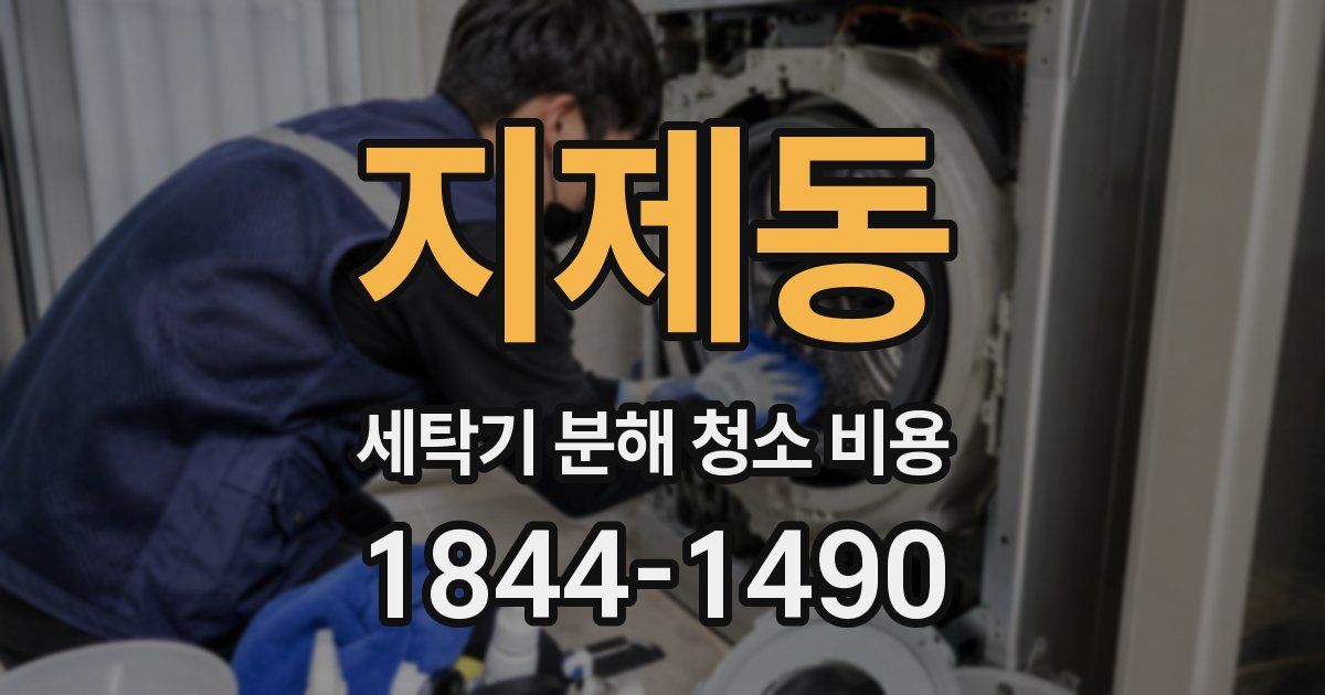 지제동 세탁기 분해 청소 비용