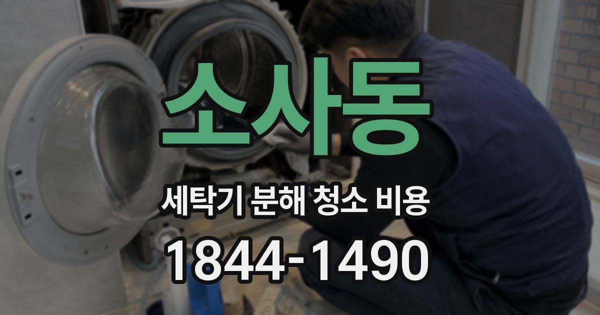 소사동 세탁기 분해 청소 비용