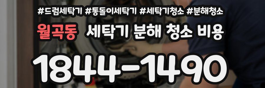 월곡동 세탁기 분해 청소 비용