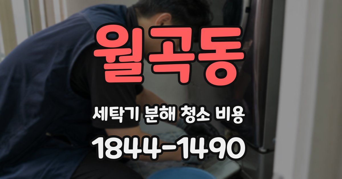 월곡동 세탁기 분해 청소 비용