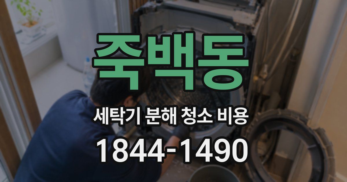 죽백동 세탁기 분해 청소 비용