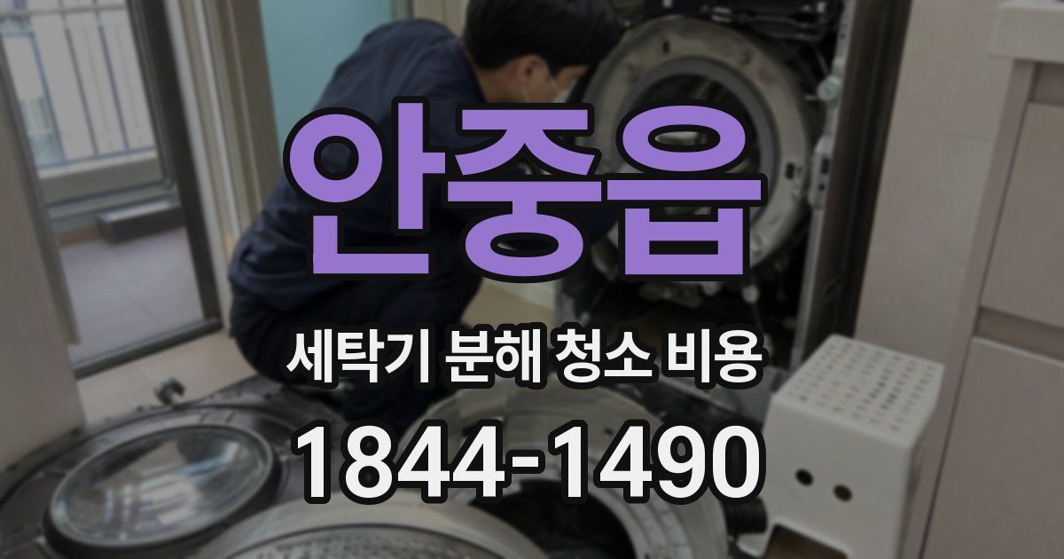 안중읍 세탁기 분해 청소 비용