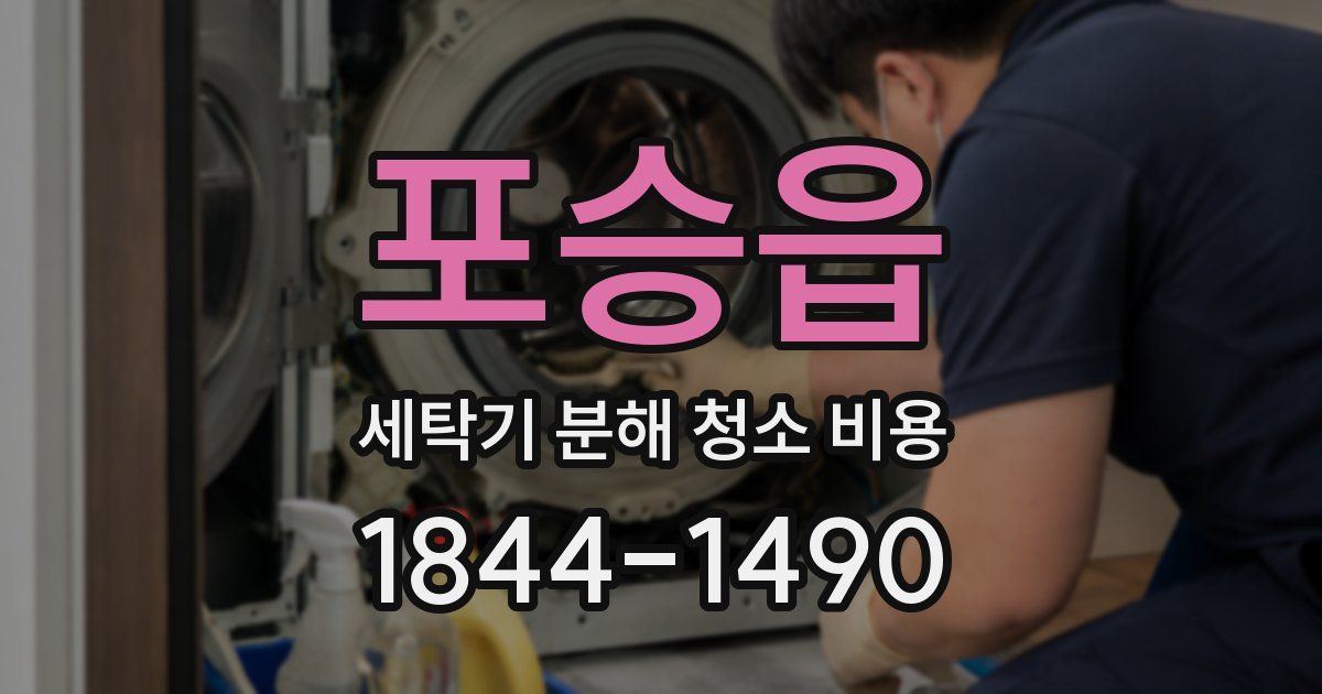 포승읍 세탁기 분해 청소 비용