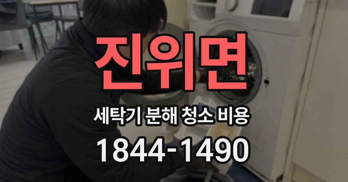 진위면 세탁기 분해 청소 비용