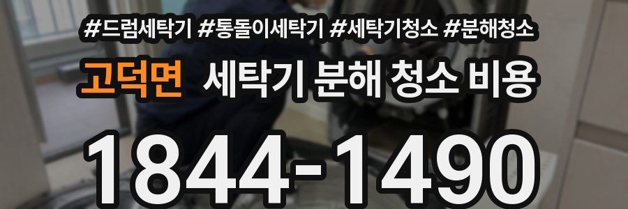 고덕면 세탁기 분해 청소 비용