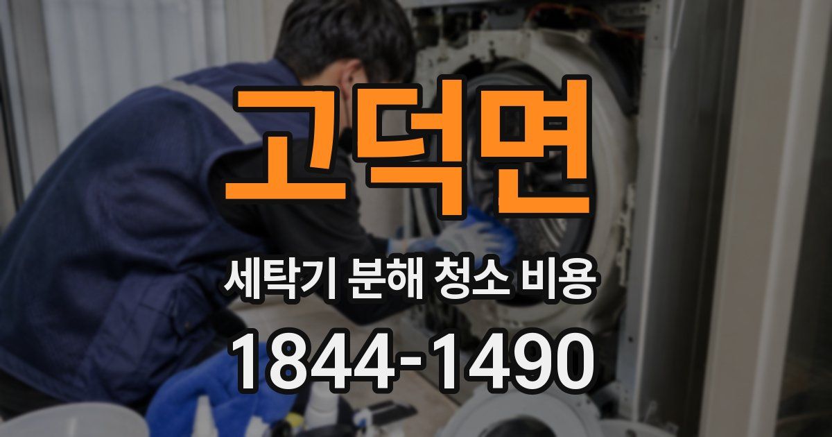 고덕면 세탁기 분해 청소 비용