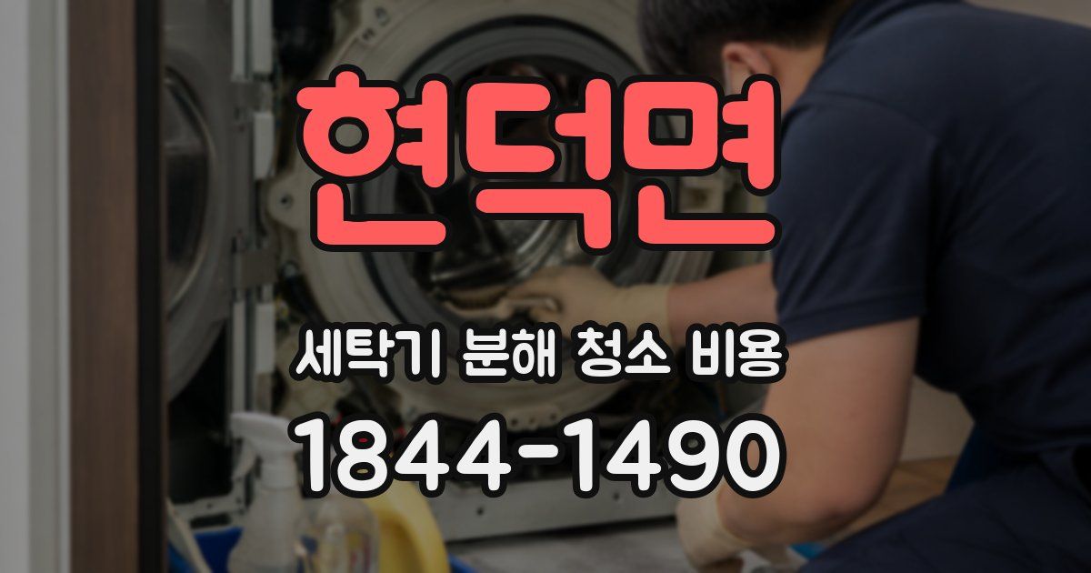 현덕면 세탁기 분해 청소 비용