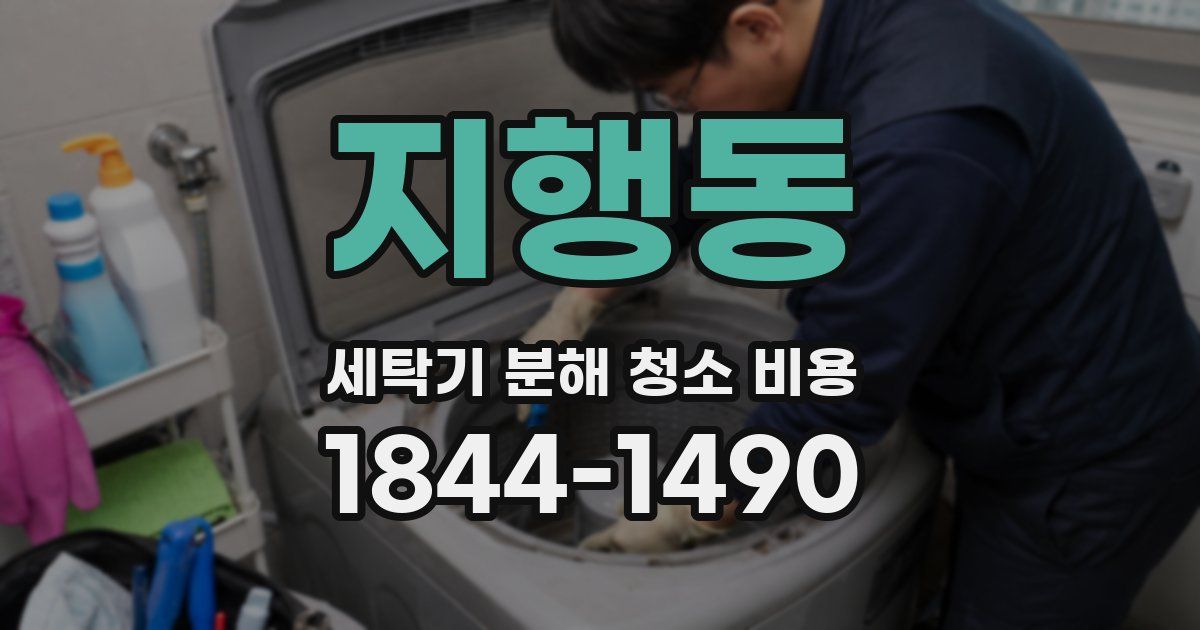 지행동 세탁기 분해 청소 비용