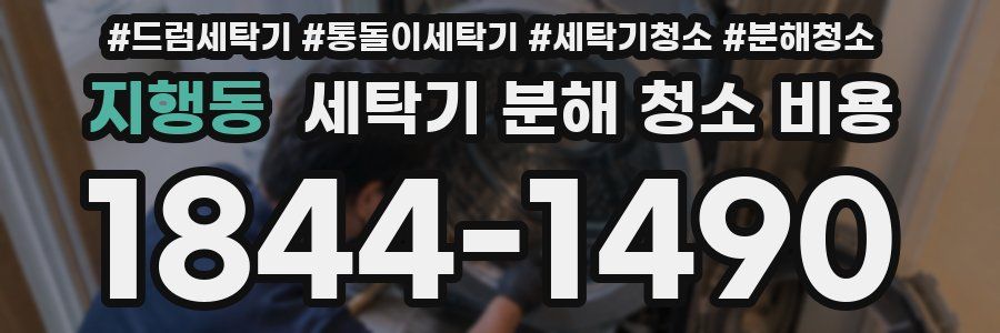 지행동 세탁기 분해 청소 비용
