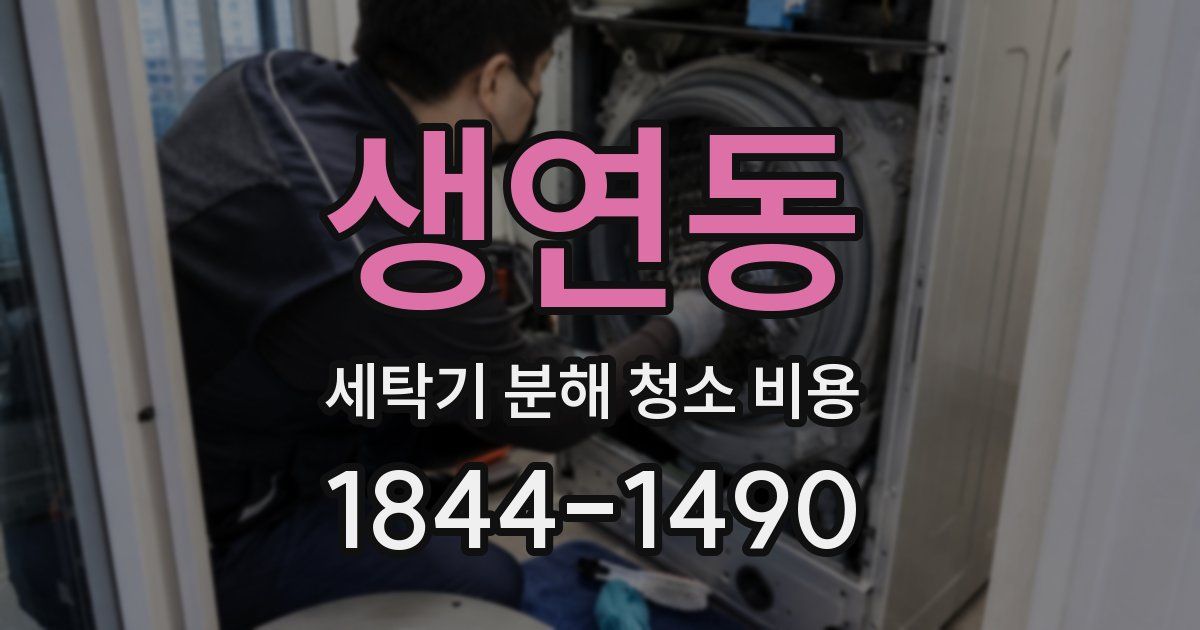 생연동 세탁기 분해 청소 비용
