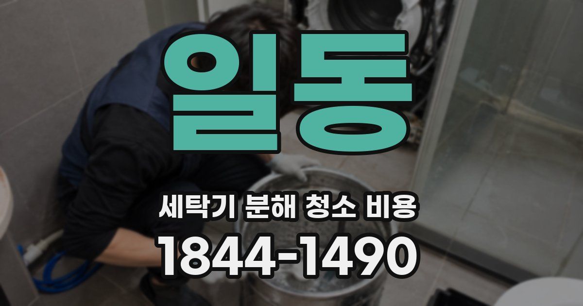 일동 세탁기 분해 청소 비용