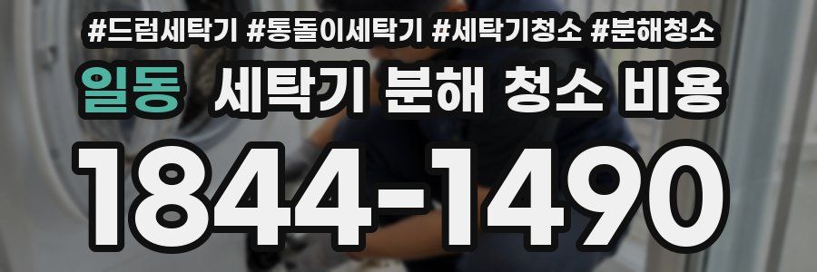 일동 세탁기 분해 청소 비용