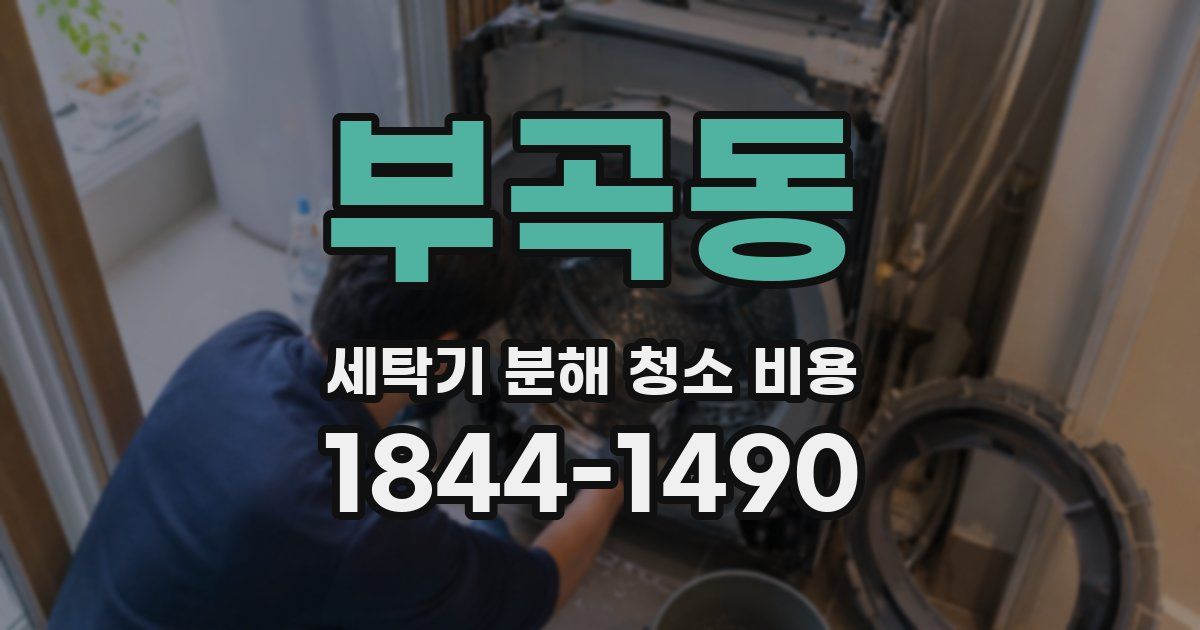 부곡동 세탁기 분해 청소 비용