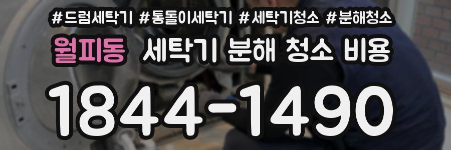 월피동 세탁기 분해 청소 비용