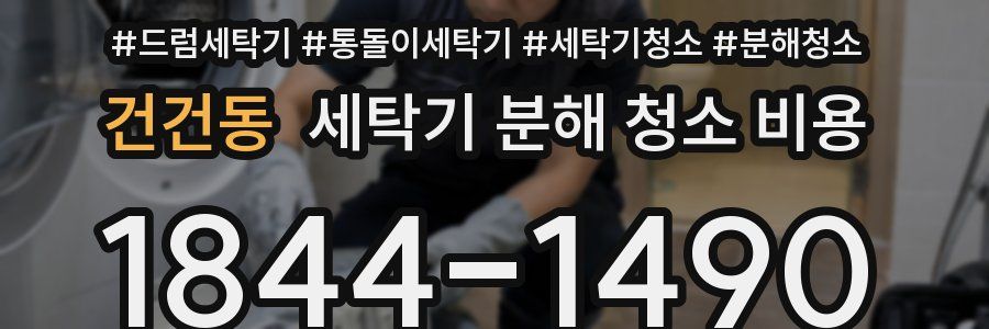 건건동 세탁기 분해 청소 비용
