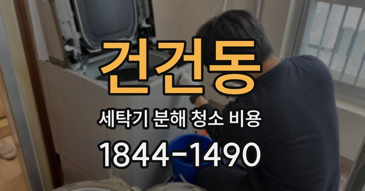 건건동 세탁기 분해 청소 비용