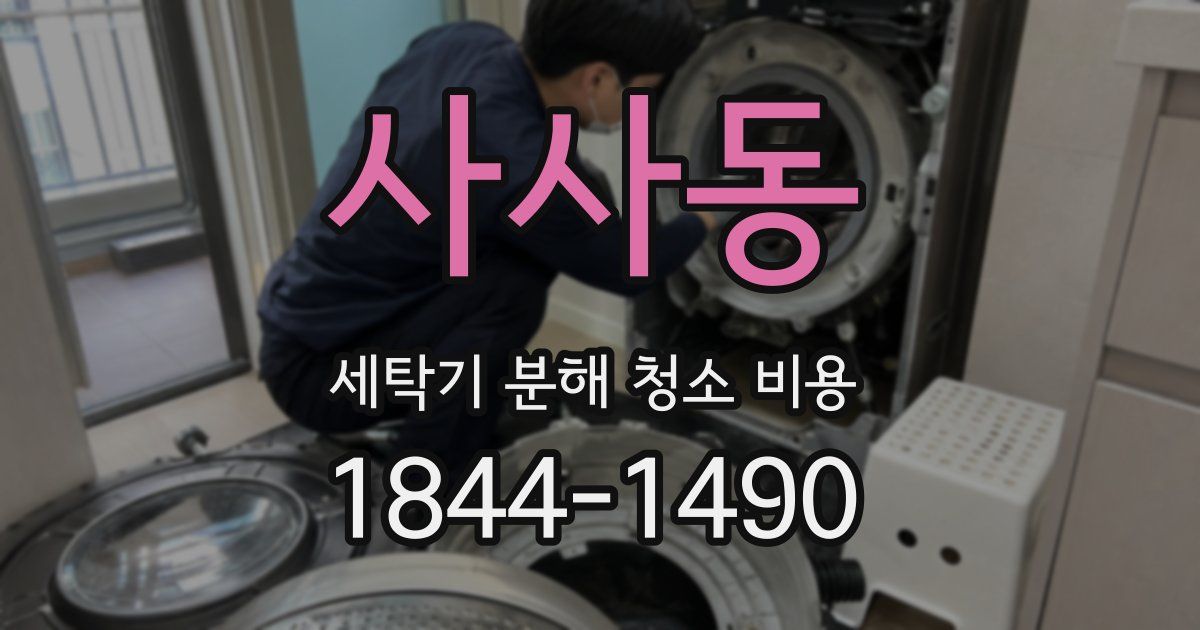 사사동 세탁기 분해 청소 비용