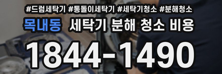 목내동 세탁기 분해 청소 비용