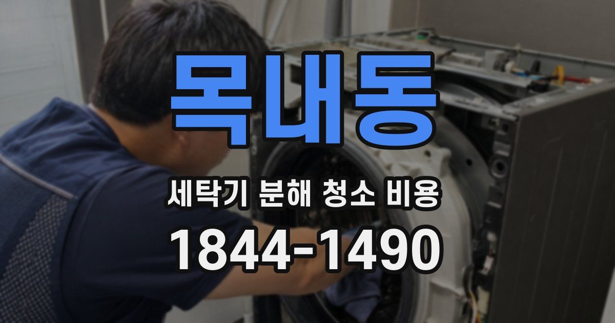 목내동 세탁기 분해 청소 비용